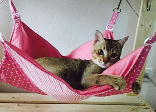 Cat hammock Rustic  and  last for years