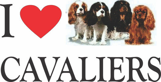 King Charlies Cavalier sticker