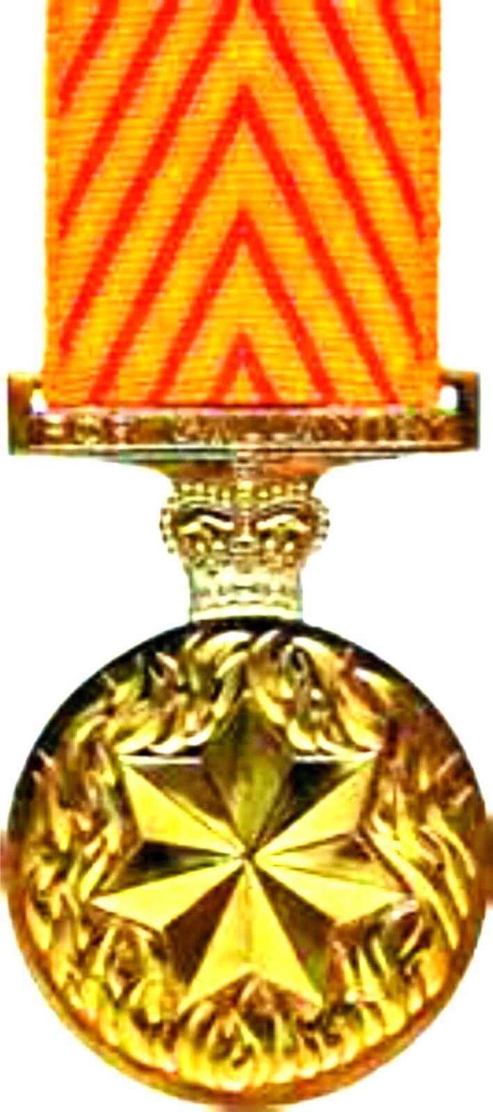 Gallantry medal miniature  replica